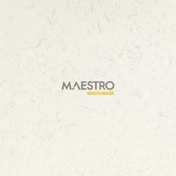505 winter cover watermark maestro